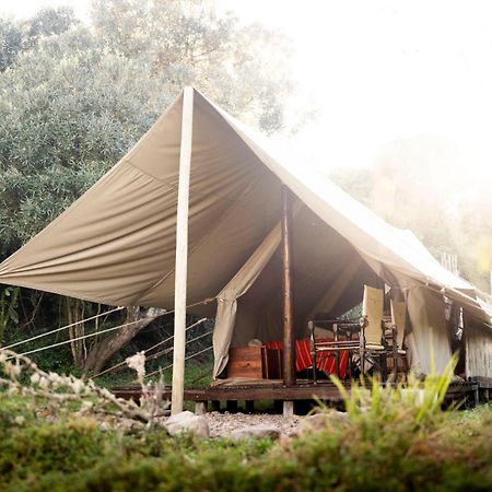 Quatermain'S 1920'S Safari Camp - Amakhala Game Reserve Εξωτερικό φωτογραφία