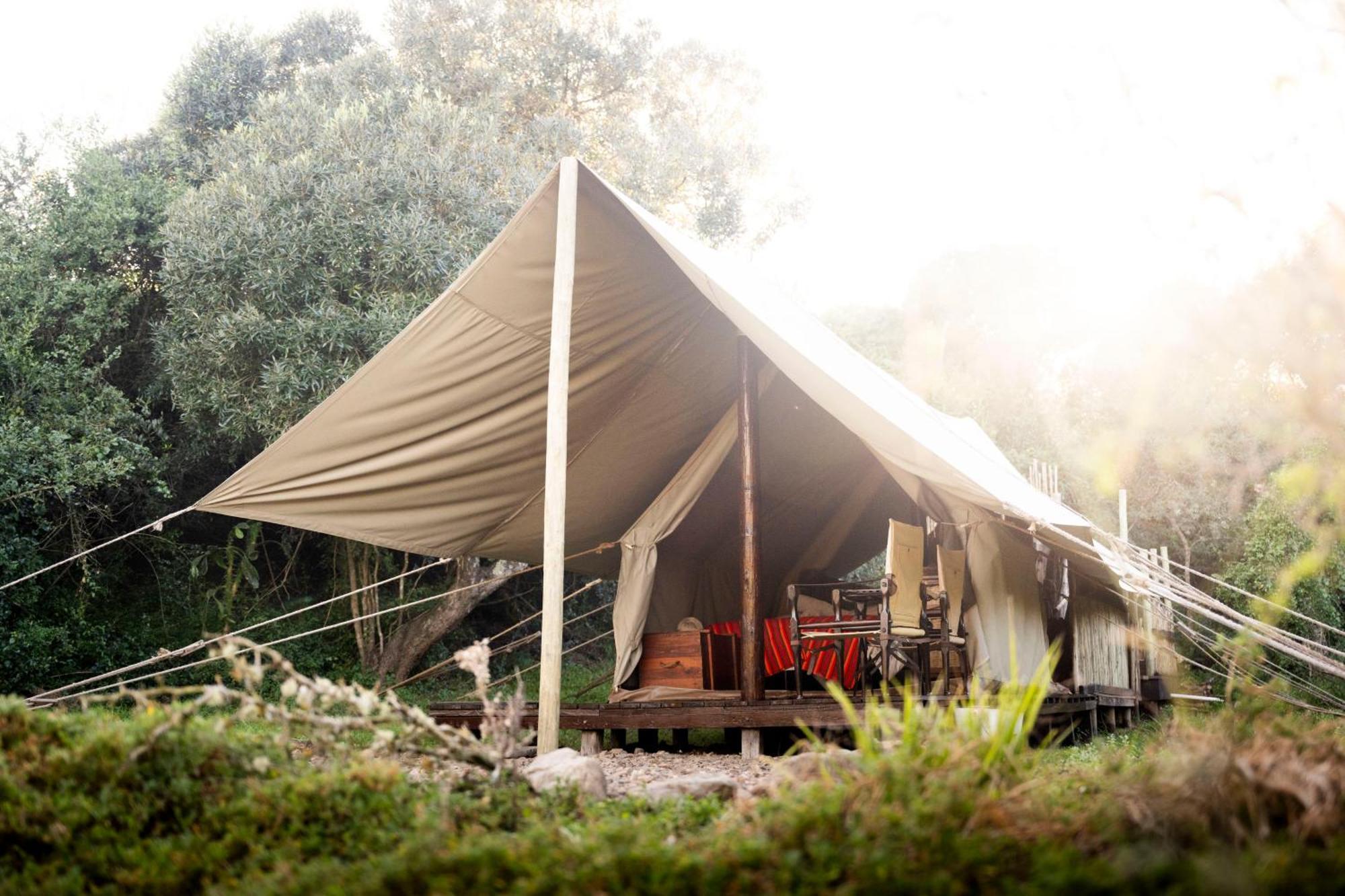 Quatermain'S 1920'S Safari Camp - Amakhala Game Reserve Εξωτερικό φωτογραφία