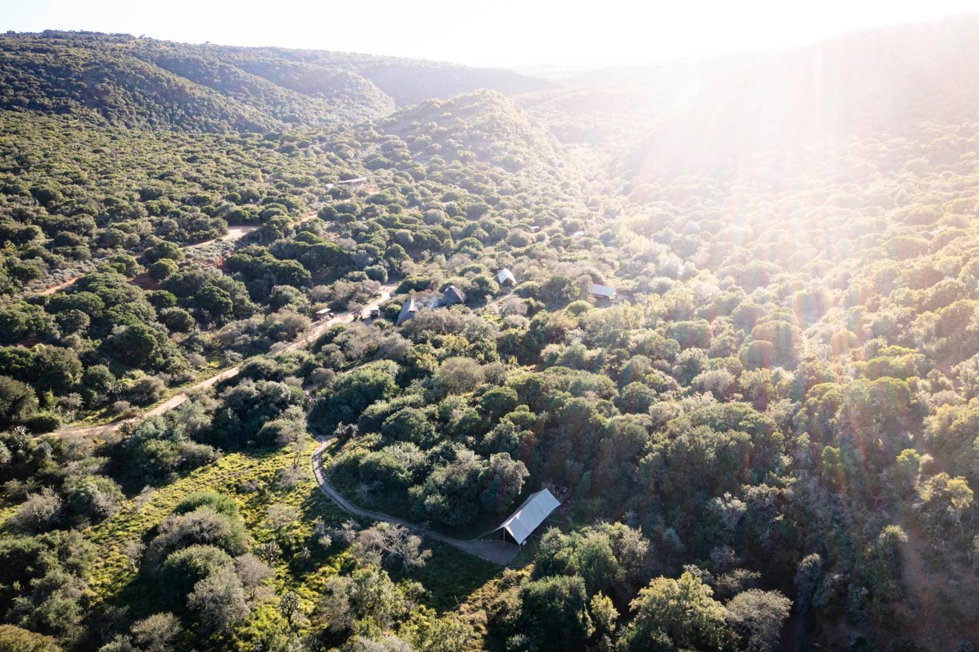 Quatermain'S 1920'S Safari Camp - Amakhala Game Reserve Εξωτερικό φωτογραφία