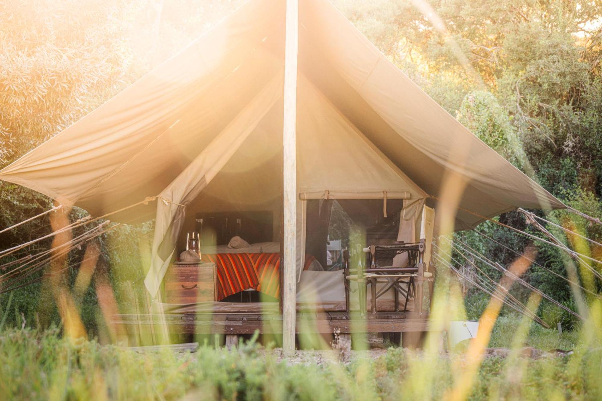 Quatermain'S 1920'S Safari Camp - Amakhala Game Reserve Εξωτερικό φωτογραφία